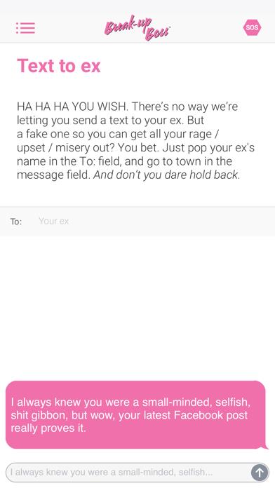 Break-Up Boss by Zoë Foster Blake