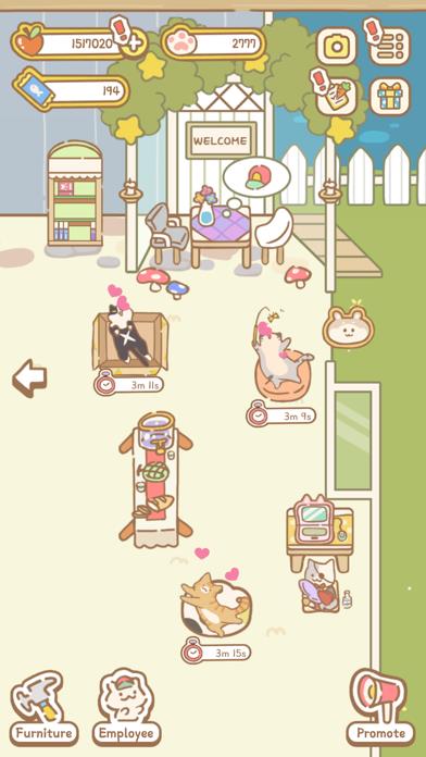 Cat Spa