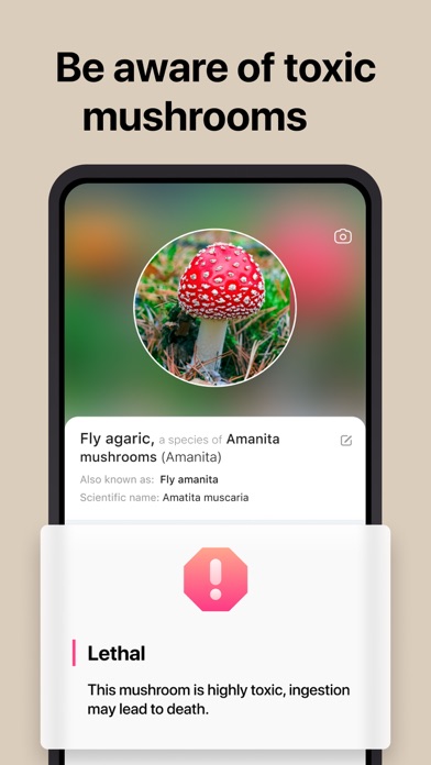Picture Mushroom: Fungi finder