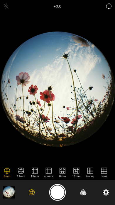 Fisheye Lens - Lomo Camera