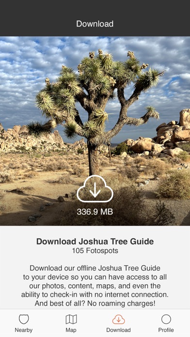 Joshua Tree by Fotospot