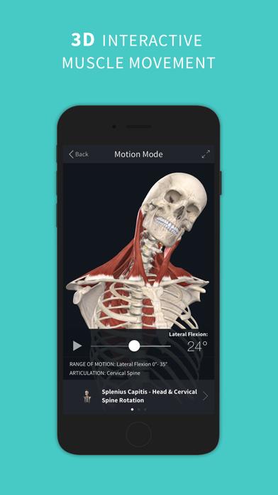 Complete Anatomy ‘23