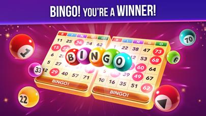 Live Play Bingo: Real Hosts!