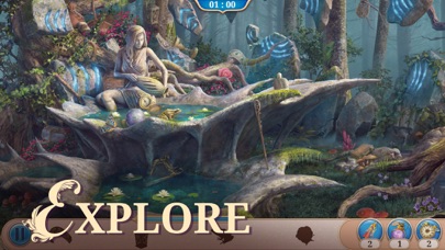 Seekers Notes: Hidden Objects