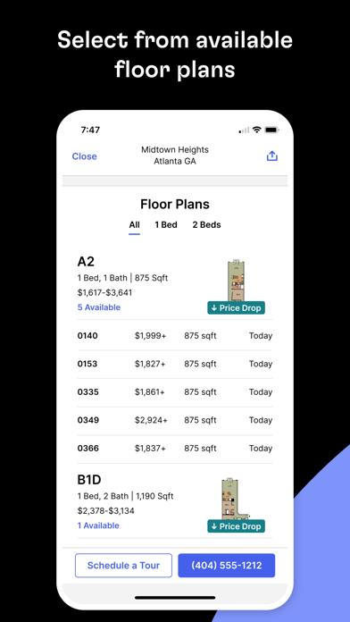 Rent. Apartments and Homes