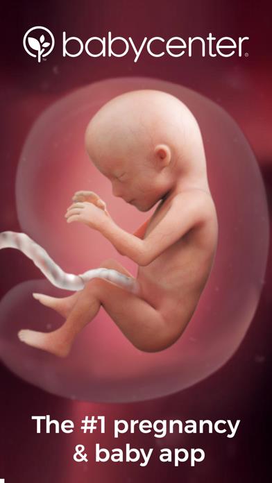 Pregnancy Tracker - BabyCenter