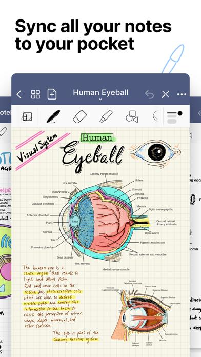 GoodNotes 5