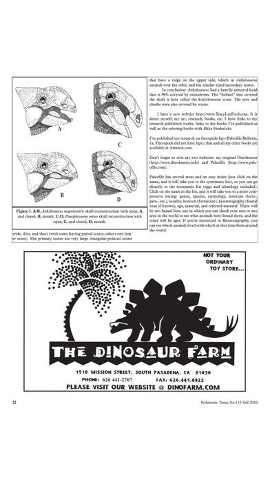 Prehistoric Times Magazine