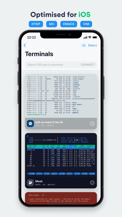 Termius: Terminal & SSH client