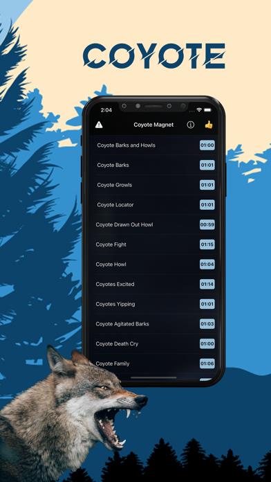 Coyote Magnet - Coyote Calls