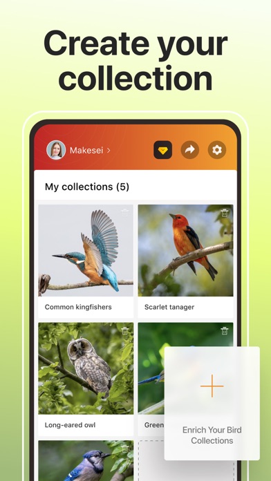 Picture Bird: Birds Identifier