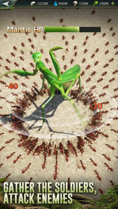 Ant Legion