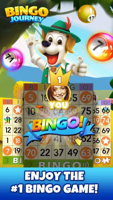 Bingo Journey！Live Bingo Games