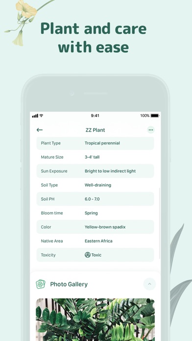 Blossom - Plant Care Guide