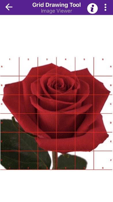 Grid Drawing Tool for Artists