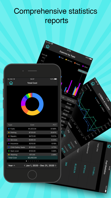 Fuel Monitor Pro