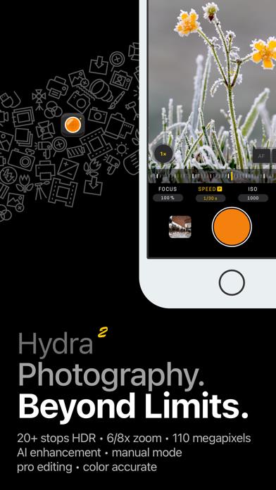 Hydra 2 › AI Camera (RAW/HDR)