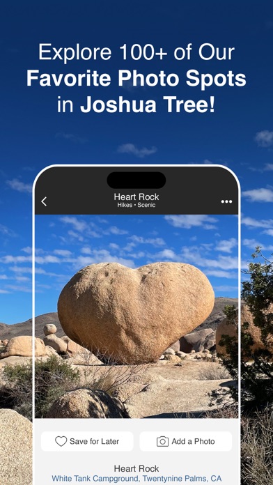 Joshua Tree by Fotospot