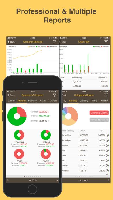 Money Monitor Pro
