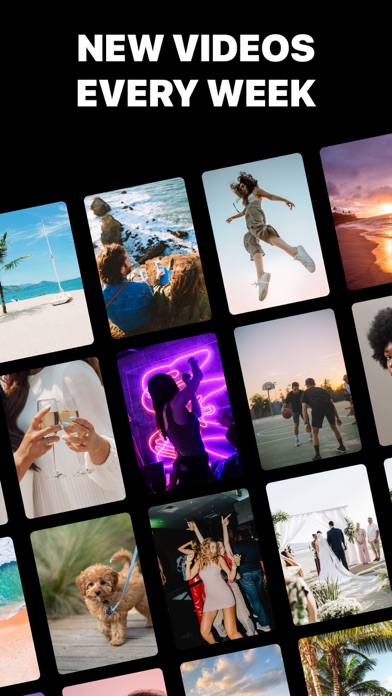 Reelsy Reel Maker IG Templates