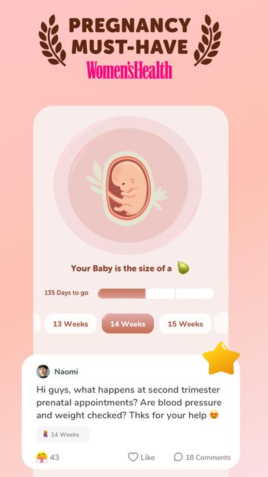 WeMoms - Pregnancy & Baby App