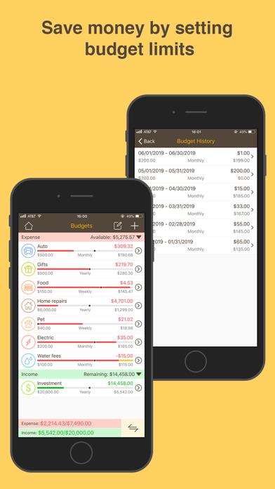 Money Monitor Pro