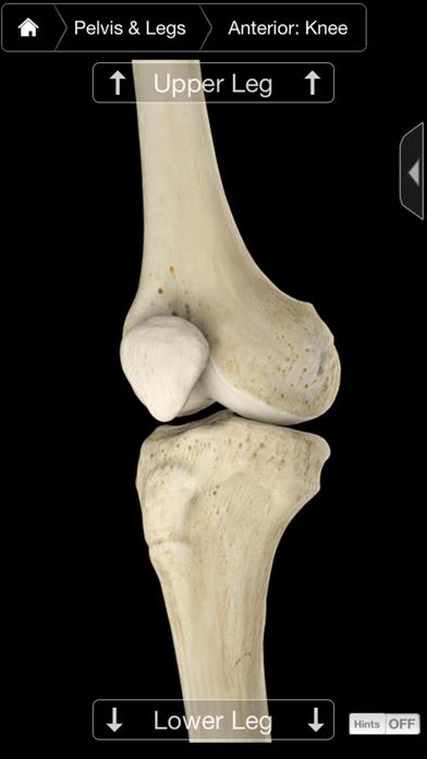 Skeleton System Pro III-iPhone