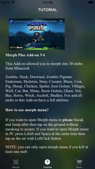 MCPE ADDONS - Morph Mods