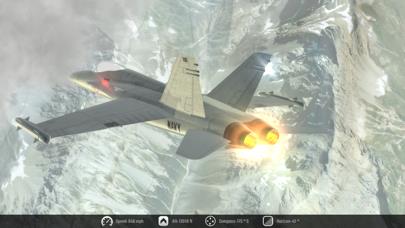 Flight Unlimited X