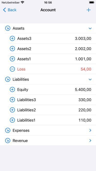 Double-Entry Bookkeeping