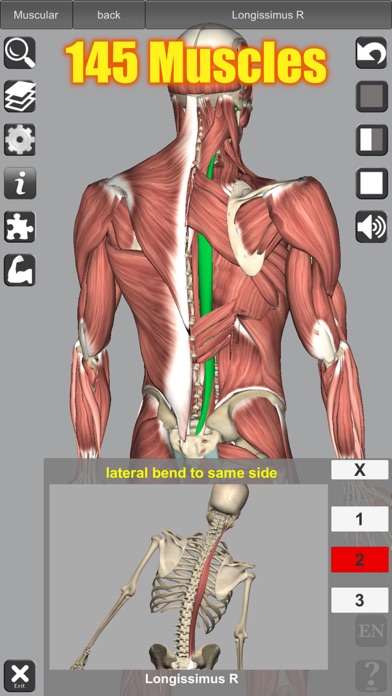 3D Anatomy