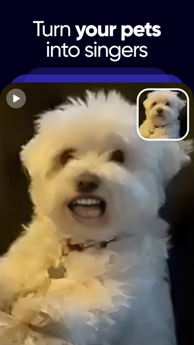 Revive: Face Photo Animator