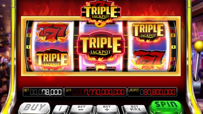 Wild Classic Slots Casino Game