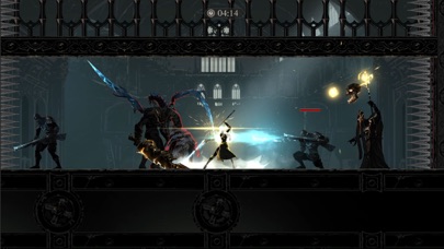 Shadow Hunter: Special Edition