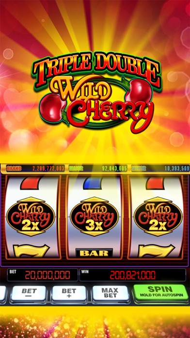 Double Rich！Vegas Casino Slots