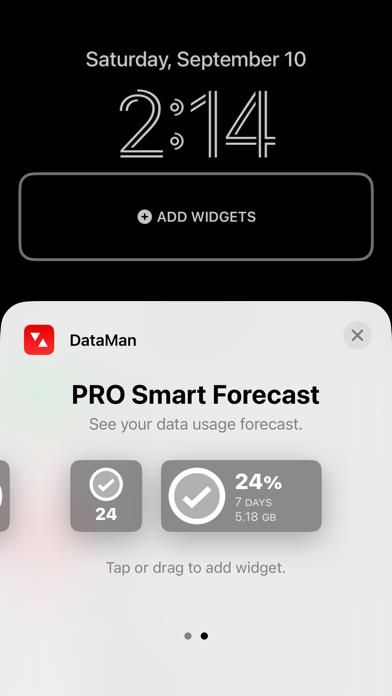 DataMan - Data Usage Widget