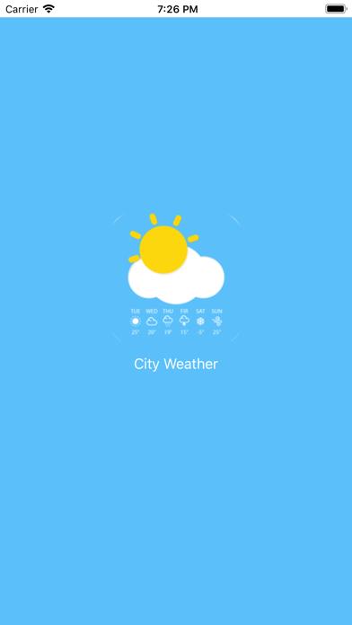 City Weather Forecasts