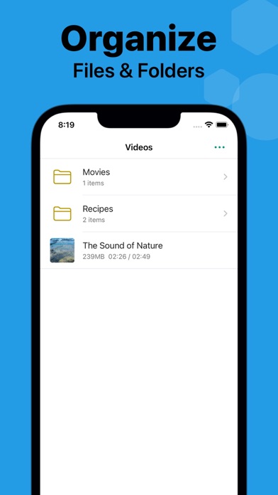 Any Video Saver