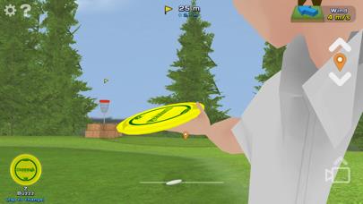 Disc Golf Game