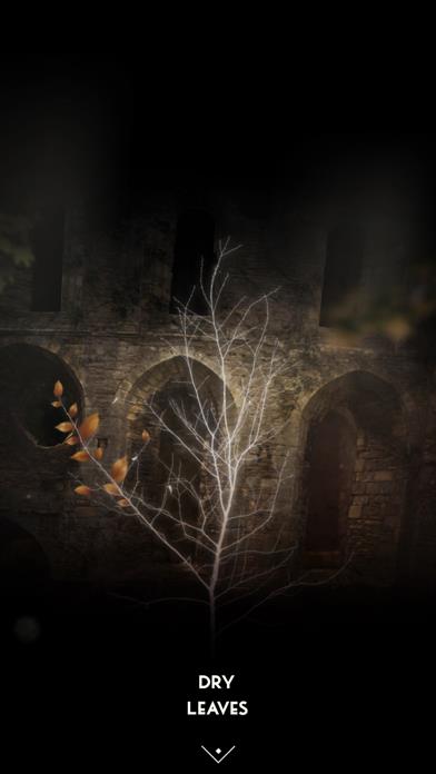 The Sailor’s Dream