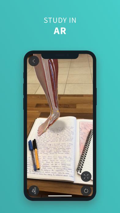 Complete Anatomy ‘23