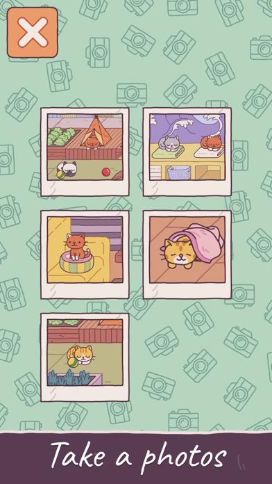Cats Hotel: The Grand Meow