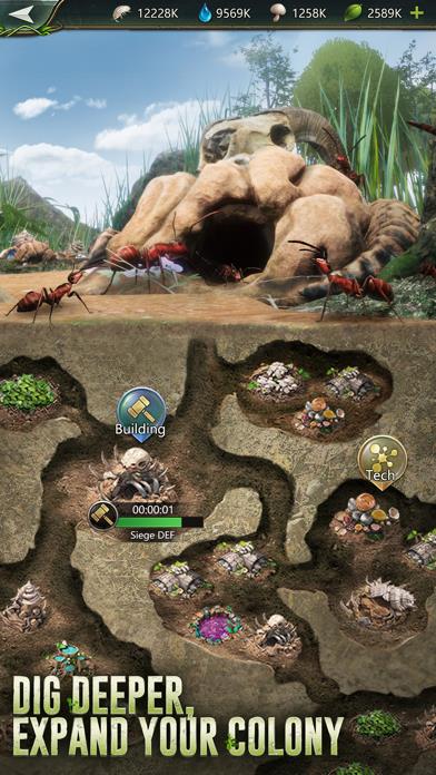 Ant Legion