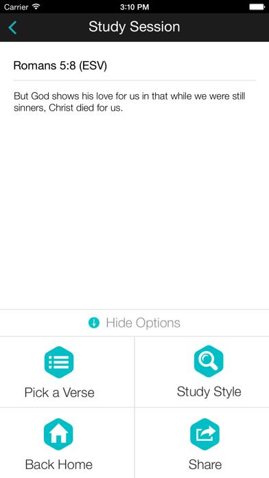 Bible Drill