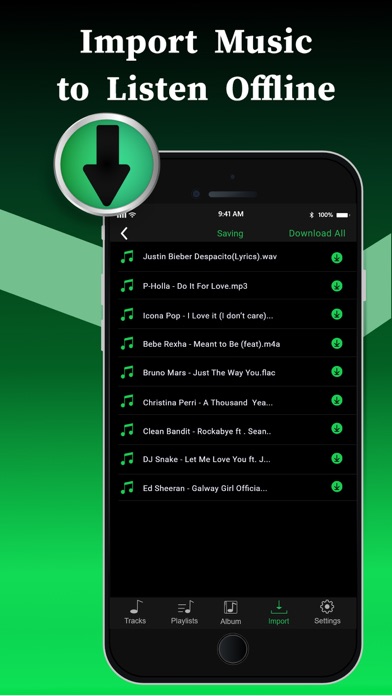 Offline Music Player