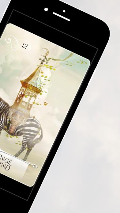 Wisdom of the Oracle Cards