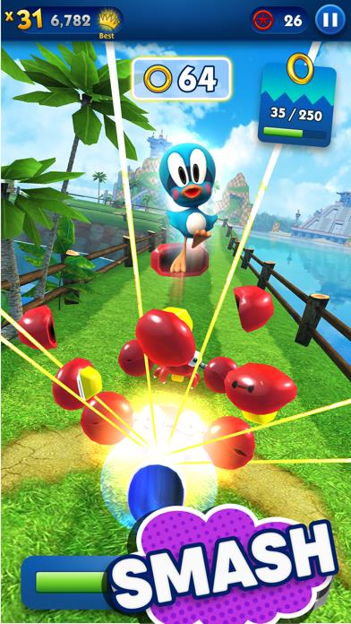 Sonic Dash Endless Runner Game