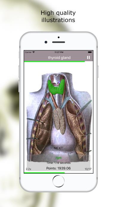 Anatomy Quiz Premium