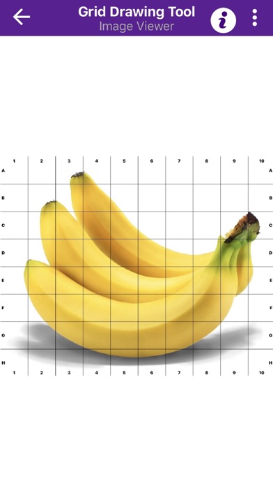 Grid Drawing Tool for Artists
