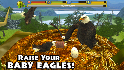 Eagle Simulator